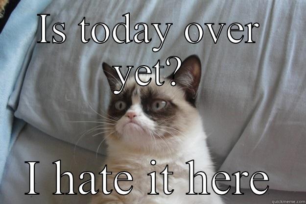 Critical results - IS TODAY OVER YET? I HATE IT HERE Grumpy Cat