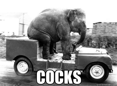 cocks  Elephant Ridin Dirty