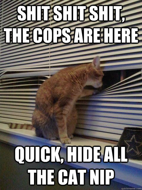 Shit Shit Shit, the cops are here Quick, hide all the cat nip  Peeping Tomcat