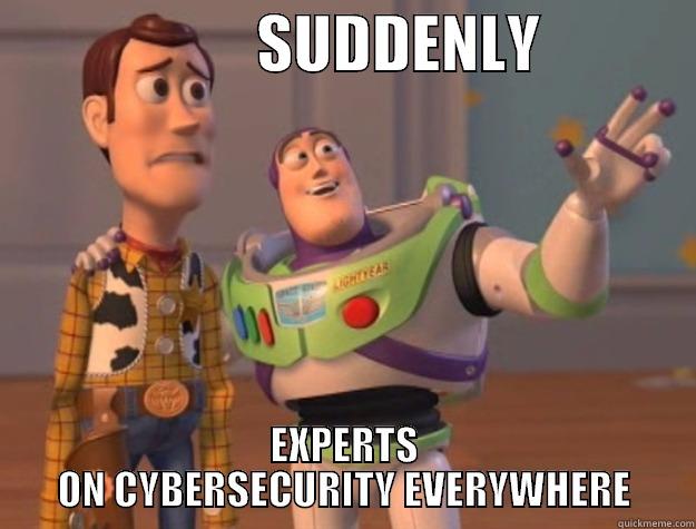                    SUDDENLY             EXPERTS ON CYBERSECURITY EVERYWHERE Toy Story