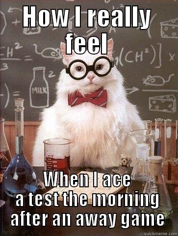 HOW I REALLY FEEL WHEN I ACE A TEST THE MORNING AFTER AN AWAY GAME Chemistry Cat