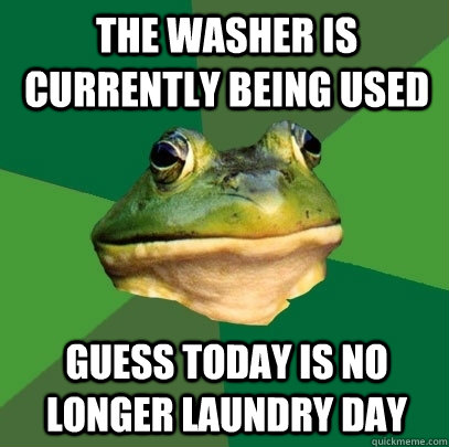 The washer is currently being used Guess today is no longer laundry day  Foul Bachelor Frog