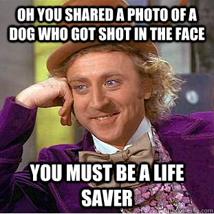 Oh You Shared a photo of a dog who got shot in the face you must be a life saver  Creepy Wonka