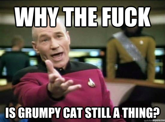 Why the fuck Is Grumpy cat still a thing?  Annoyed Picard HD