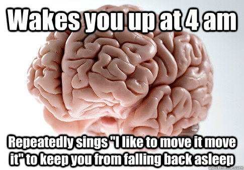 Wakes you up at 4 am Repeatedly sings 