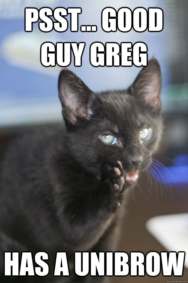 psst... Good Guy Greg Has a Unibrow - psst... Good Guy Greg Has a Unibrow  Gossip Cat