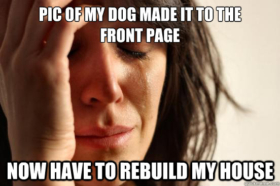 Pic of my dog made it to the 
front page Now have to rebuild my house  First World Problems