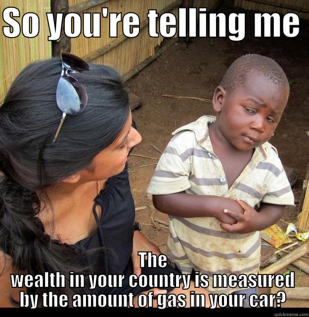 SO YOU'RE TELLING ME  THE WEALTH IN YOUR COUNTRY IS MEASURED BY THE AMOUNT OF GAS IN YOUR CAR? Skeptical Third World Kid