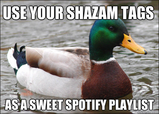 Use your shazam tags as a sweet spotify playlist  Actual Advice Mallard
