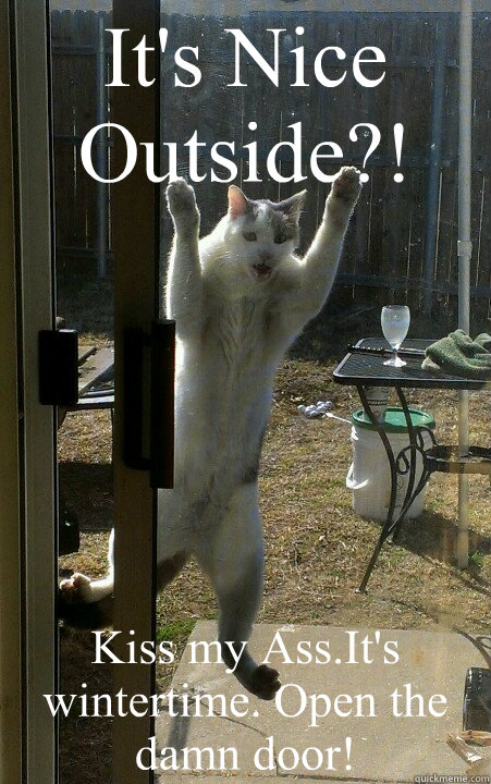 It's Nice Outside?! Kiss my Ass.It's wintertime. Open the damn door!  