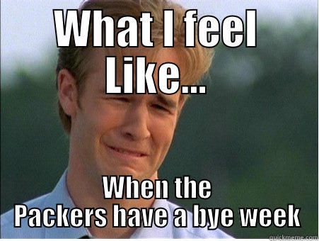 WHAT I FEEL LIKE... WHEN THE PACKERS HAVE A BYE WEEK 1990s Problems