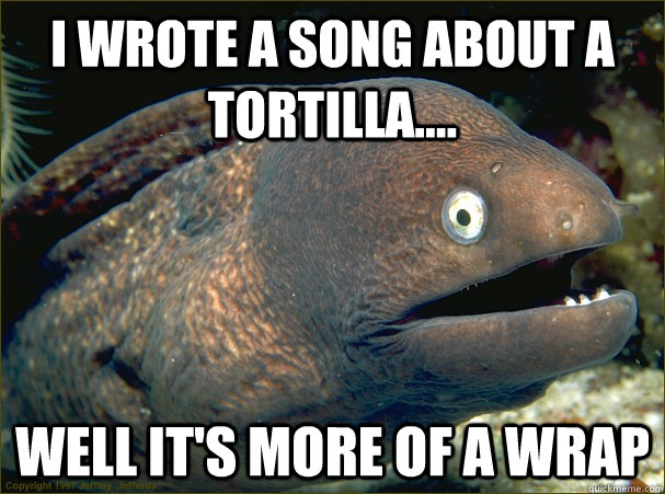 I wrote a song about a tortilla.... Well it's more of a wrap  Bad Joke Eel