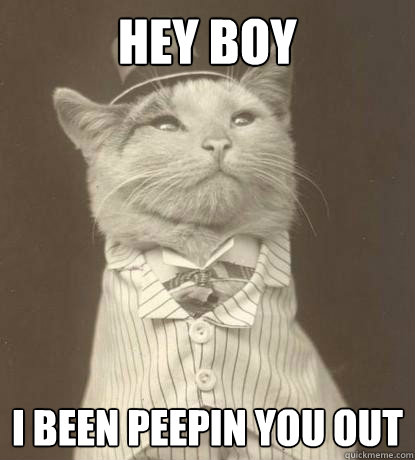 Hey boy I been peepin you out  Aristocat