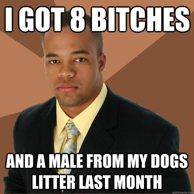 i got 8 bitches and a male from my dogs litter last month  Successful Black Man
