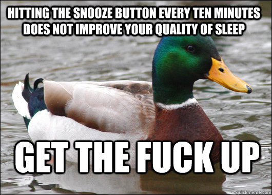 hitting the snooze button every ten minutes does not improve your quality of sleep get the fuck up  Actual Advice Mallard