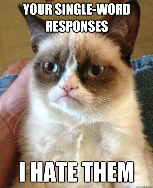 your single-word responses i hate them  Grumpy Cat
