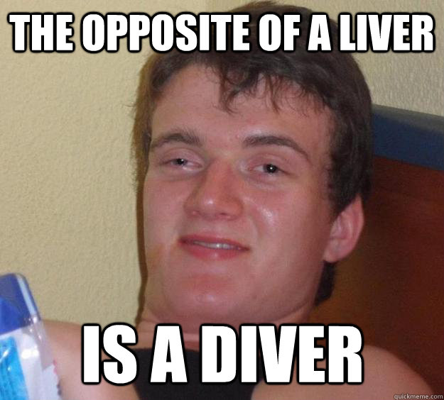 The opposite of a Liver is a diver - The opposite of a Liver is a diver  10 Guy