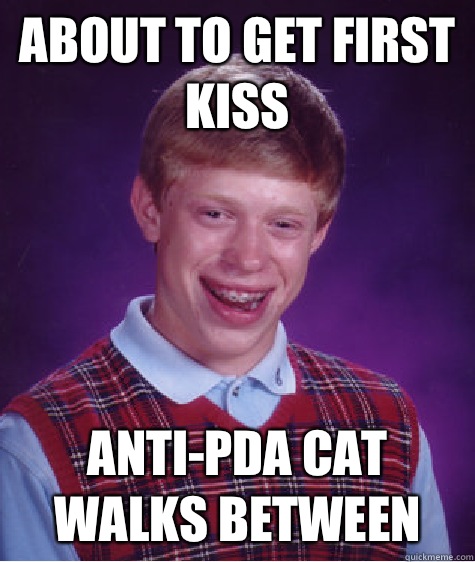 About to get first kiss Anti-PDA cat walks between   Bad Luck Brian