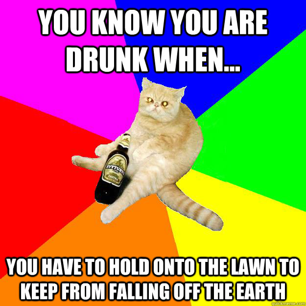 YOU KNOW YOU ARE DRUNK WHEN... YOU HAVE TO HOLD ONTO THE LAWN TO KEEP FROM FALLING OFF THE EARTH  Drunk Cat