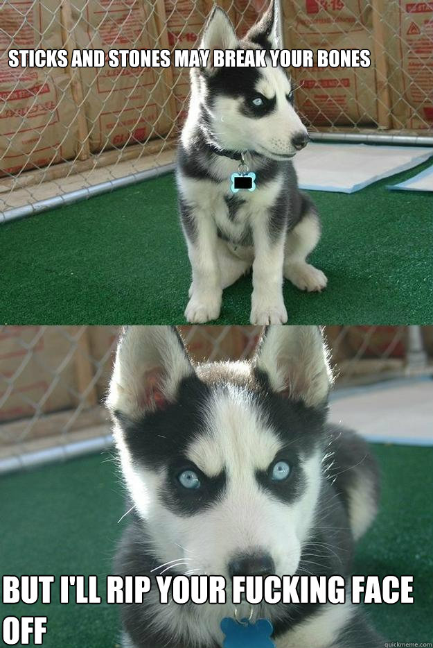 Sticks and stones may break your bones But I'll rip your fucking face off - Sticks and stones may break your bones But I'll rip your fucking face off  Insanity puppy