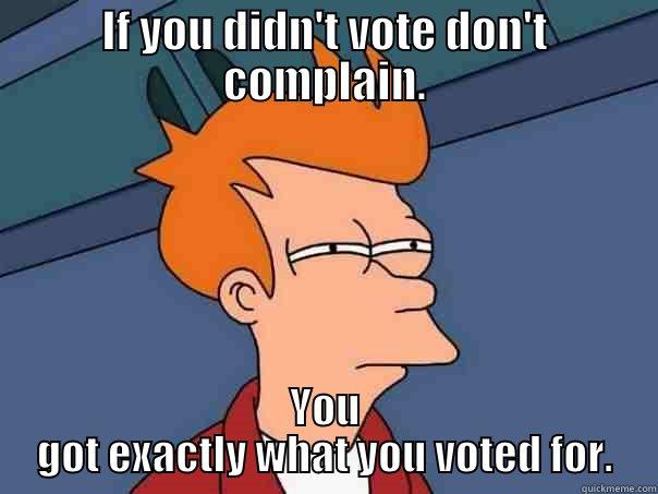 IF YOU DIDN'T VOTE DON'T COMPLAIN. YOU GOT EXACTLY WHAT YOU VOTED FOR. Futurama Fry