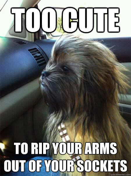 Too cute To rip your arms out of your sockets  Cute Chewbacca meme
