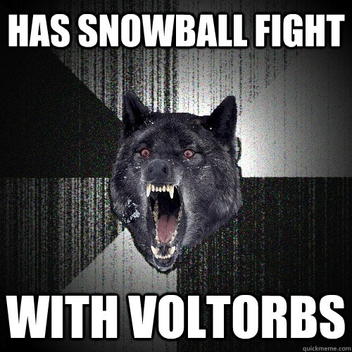has snowball fight with voltorbs  Insanity Wolf