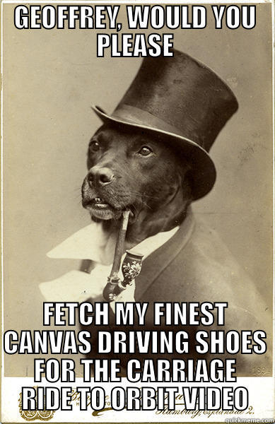 GEOFFREY, WOULD YOU PLEASE FETCH MY FINEST CANVAS DRIVING SHOES FOR THE CARRIAGE RIDE TO ORBIT VIDEO Old Money Dog