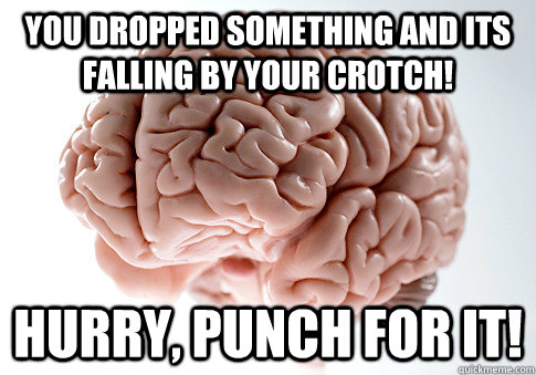 You dropped something and its falling by your crotch! Hurry, Punch for it!  Scumbag Brain