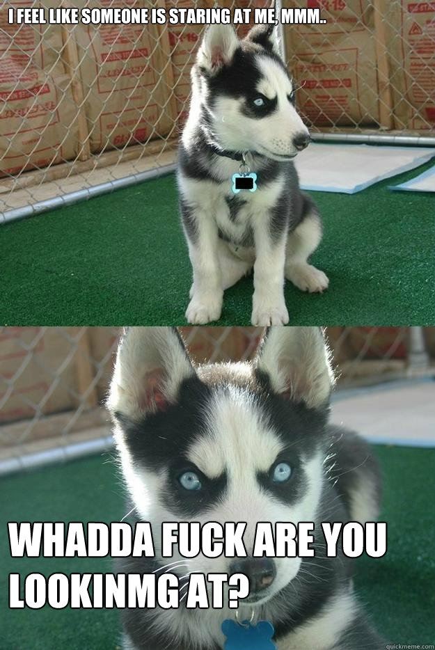 I feel like someone is staring at me, mmm.. Whadda fuck are you lookinmg at?  Insanity puppy