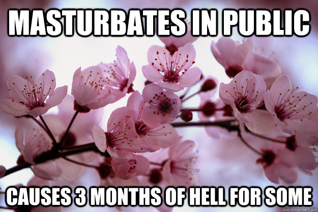 masturbates in public causes 3 months of hell for some - masturbates in public causes 3 months of hell for some  Scumbag Cherry Blossom
