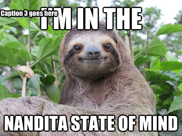 I'M IN THE NANDITA STATE OF MIND Caption 3 goes here - I'M IN THE NANDITA STATE OF MIND Caption 3 goes here  Stoned Sloth