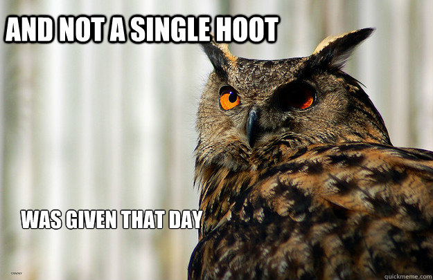 And not a single hoot was given that day - And not a single hoot was given that day  Badass Owl