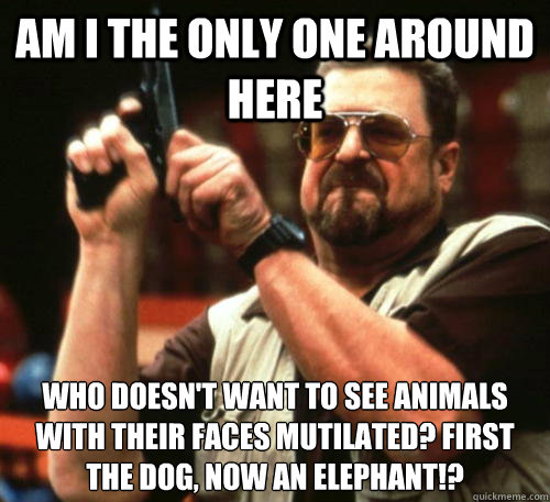 Am i the only one around here Who doesn't want to see animals with their faces mutilated? First the dog, now an elephant!?  Am I The Only One Around Here