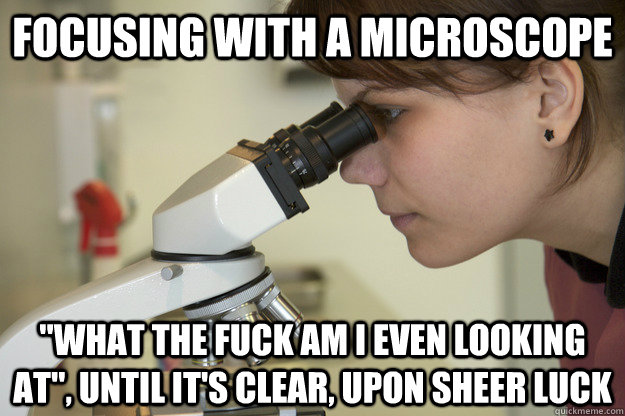 focusing with a microscope 