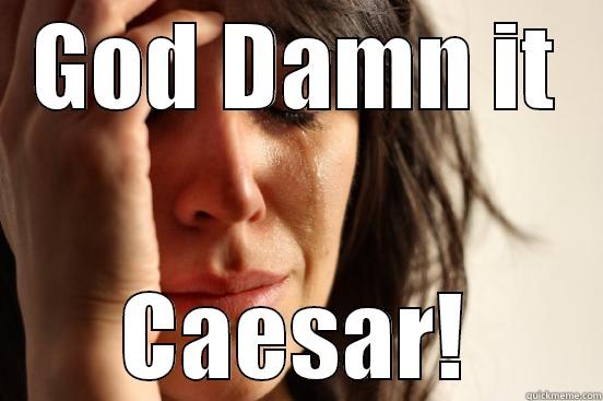 GOD DAMN IT CAESAR! First World Problems
