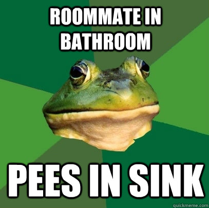 Roommate in bathroom Pees in sink  Foul Bachelor Frog