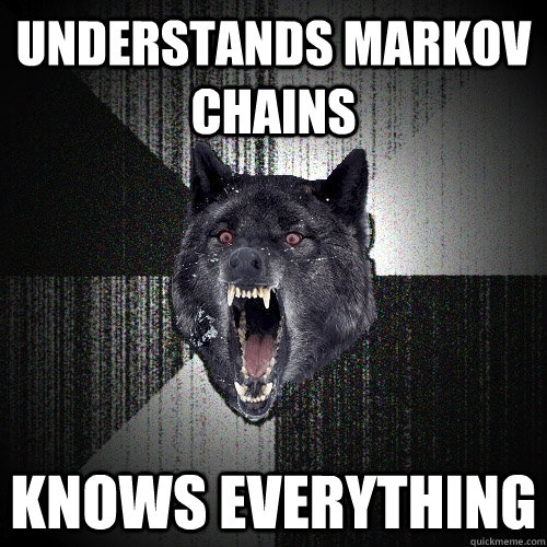 Understands Markov Chains Knows Everything  Insanity Wolf