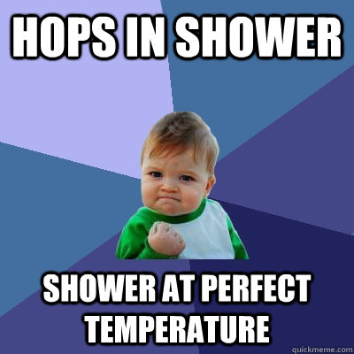 hops in shower shower at perfect temperature - hops in shower shower at perfect temperature  Success Kid