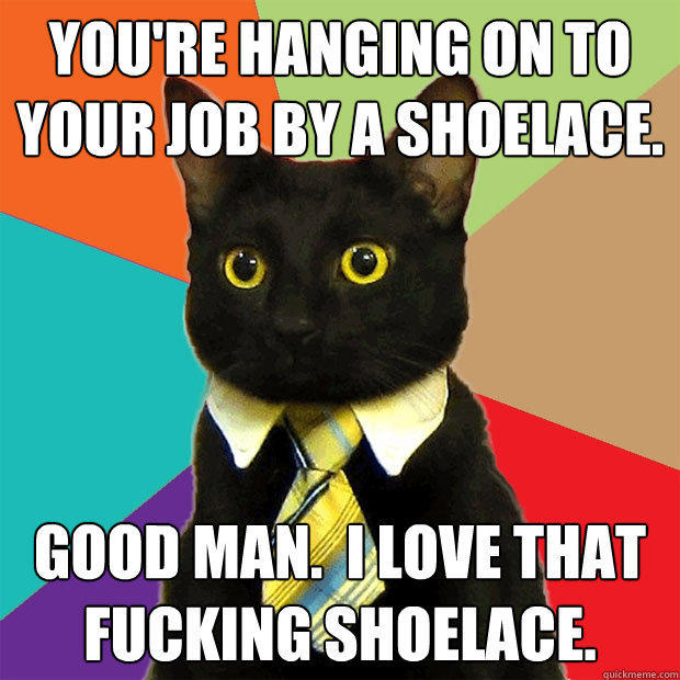 You're hanging on to your job by a shoelace. Good man.  I love that fucking shoelace. - You're hanging on to your job by a shoelace. Good man.  I love that fucking shoelace.  Business Cat