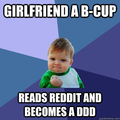 girlfriend a b-cup reads reddit and becomes a DDD  Success Kid