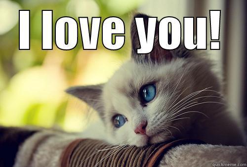 I LOVE YOU!  First World Problems Cat