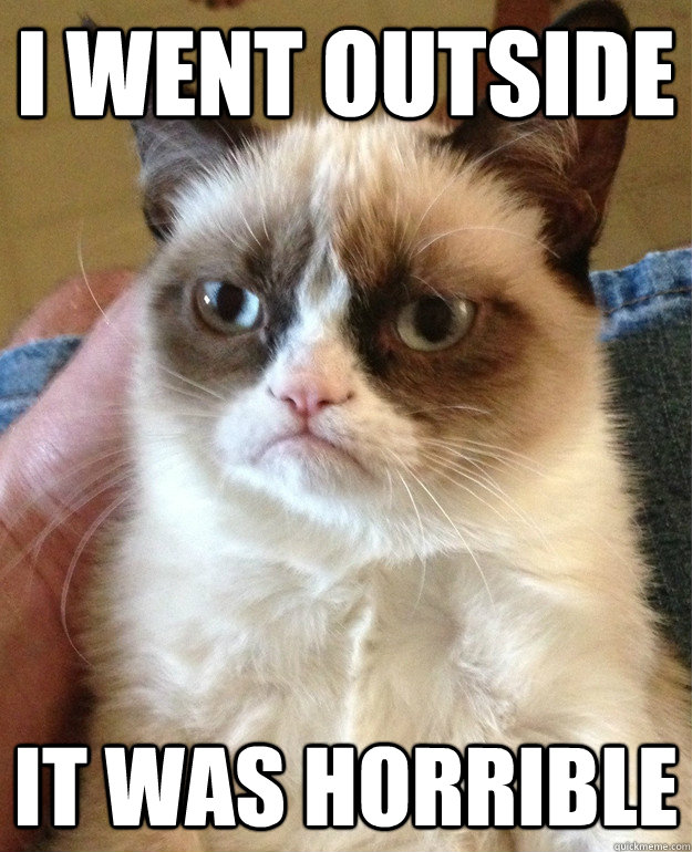 I WENT OUTSIDE IT WAS HORRIBLE - I WENT OUTSIDE IT WAS HORRIBLE  Grumpy Cat