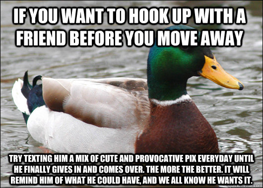 If you want to hook up with a friend before you move away try texting him a mix of cute and provocative pix everyday until he finally gives in and comes over. The more the better. It will remind him of what he could have, and we all know he wants it.   Actual Advice Mallard