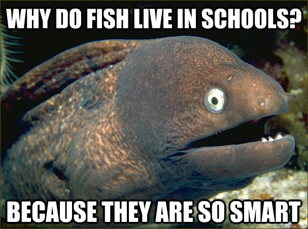 Why do fish live in schools? Because they are so smart - Why do fish live in schools? Because they are so smart  Bad Joke Eel