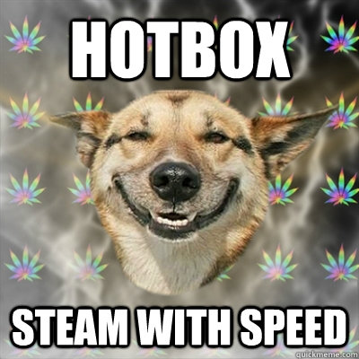 HOtBOX STEAM WITH SPEED  Stoner Dog