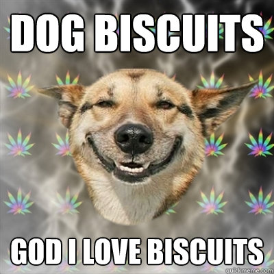 DOG BISCUITS GOD I LOVE BISCUITS  Stoner Dog
