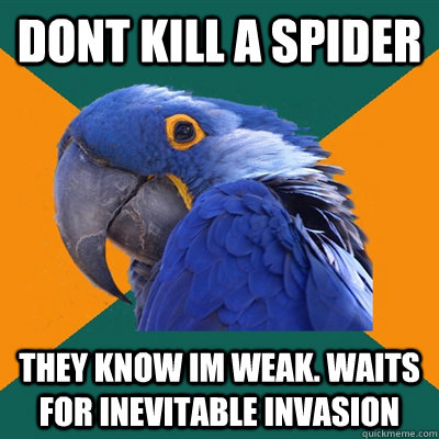 Dont kill a spider They know Im weak. Waits for inevitable invasion - Dont kill a spider They know Im weak. Waits for inevitable invasion  Paranoid Parrot