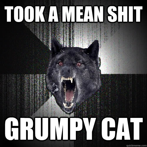 TOOK A MEAN SHIT GRUMPY CAT  Insanity Wolf