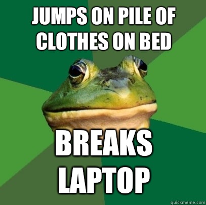 Jumps on pile of clothes on bed Breaks laptop  Foul Bachelor Frog